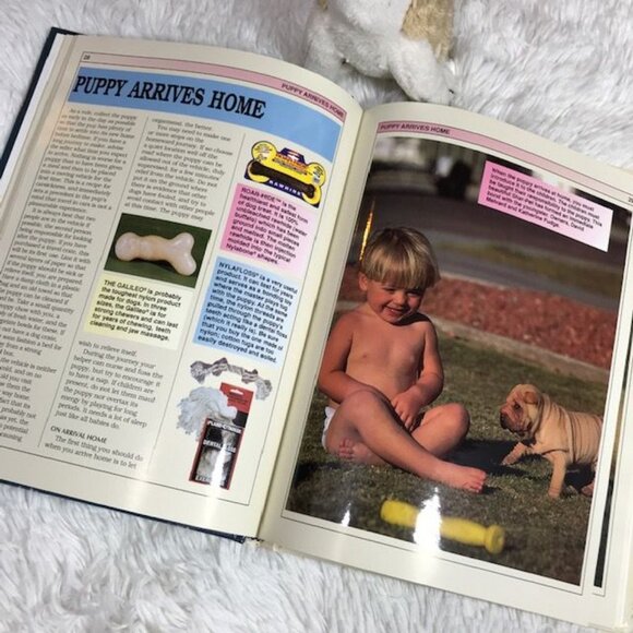 Housebreaking and Training Puppies Book & Stuffed Puppy Set - Picture 6 of 9